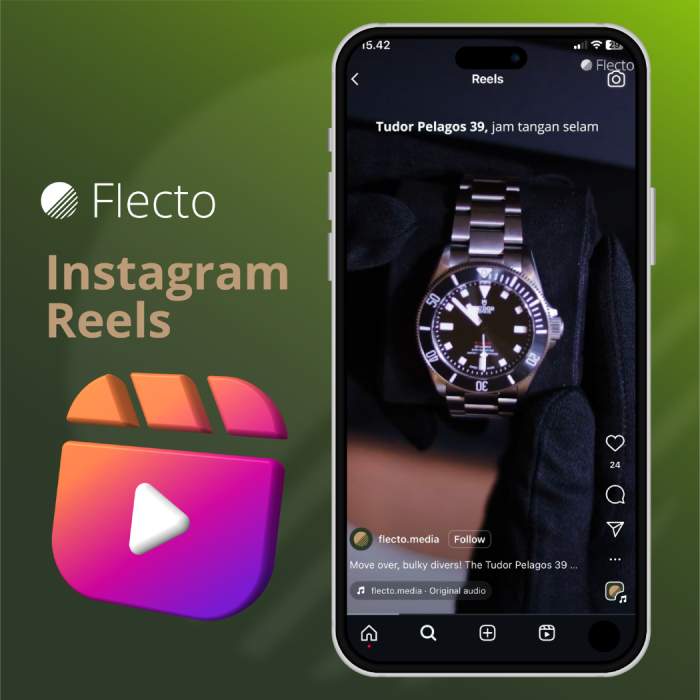 Portofolio - Flecto