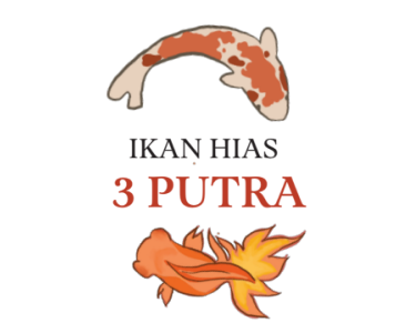 ikan-hias-2-putra.png