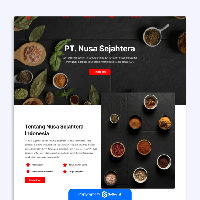Portofolio - PT. Nusa Sejahtera